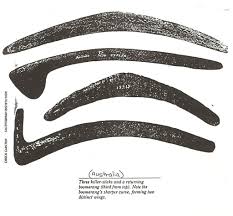 Returning and Non-Returning