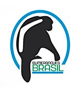 Bumerangues Brasil Logo
